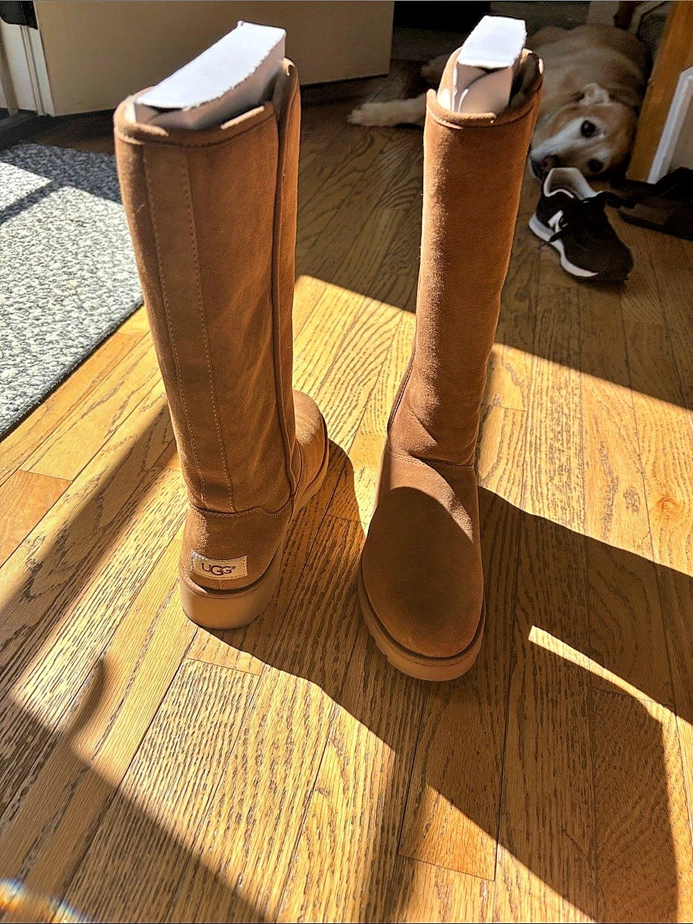 UGG Classic Tall II Boot Tall Brown Suede Boots